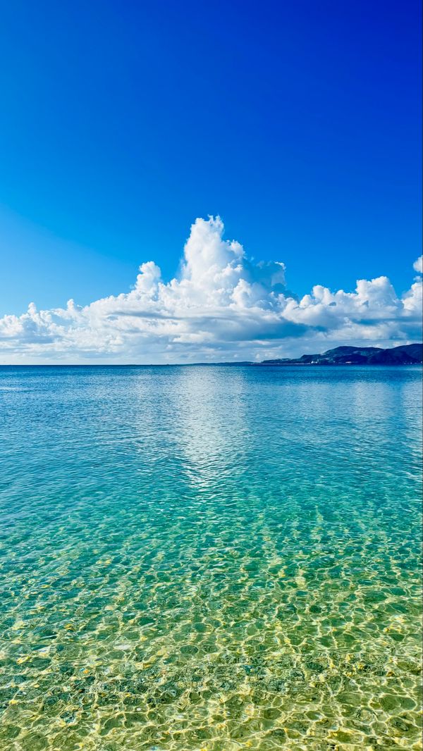日本・沖縄県「沖縄県」の写真