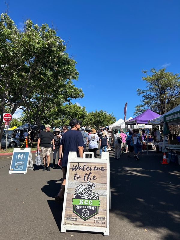 アメリカ(米国)・ホノルル「ハワイ旅行」の写真