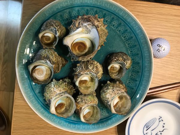 日本・京都府京丹後「海太郎海水浴3歳」の写真