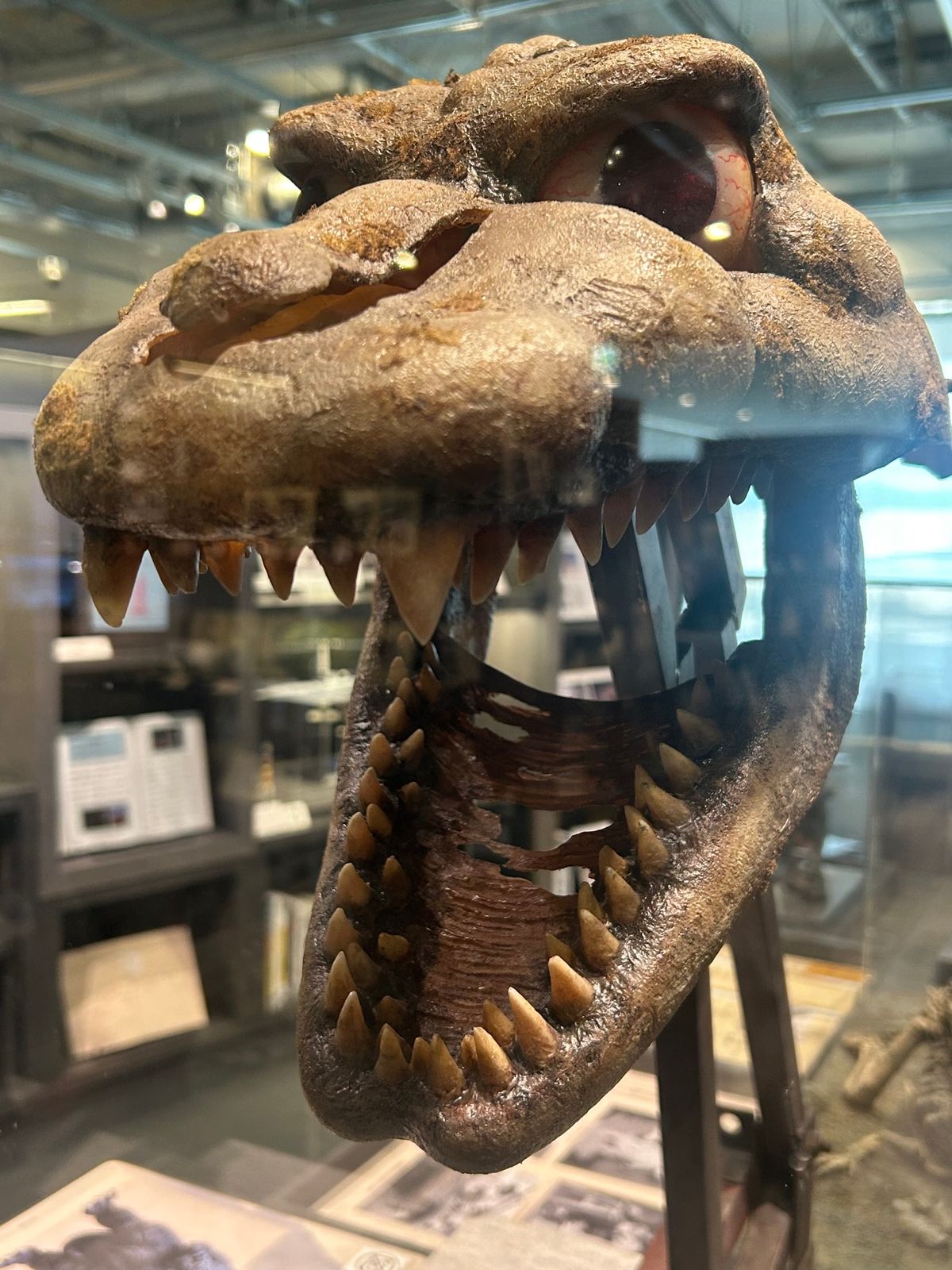 朝５時に出発して、途中で朝食を済ませ、まずは須賀川へ。市民交流センター内に...