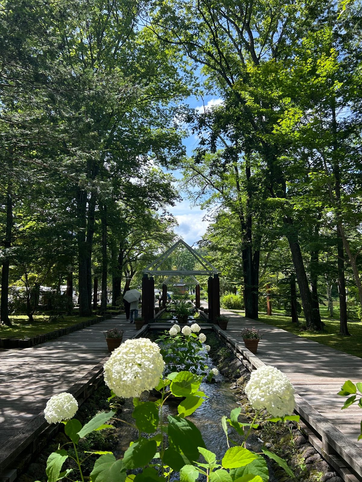 まず初め発地市庭のお蕎麦から😊
随分前に行ったタリアセン…前は無料だったような…
