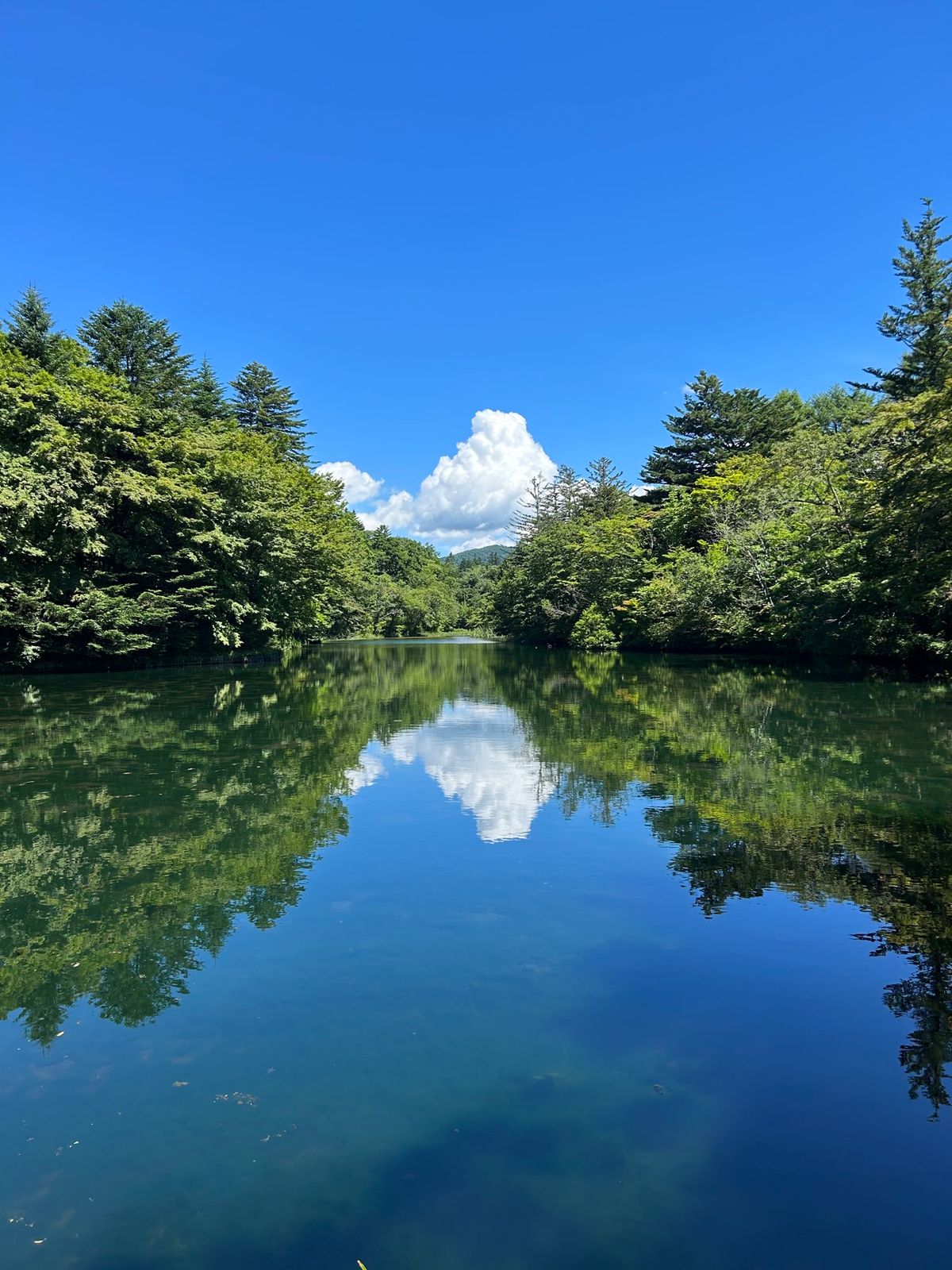 まず初め発地市庭のお蕎麦から😊
随分前に行ったタリアセン…前は無料だったような…