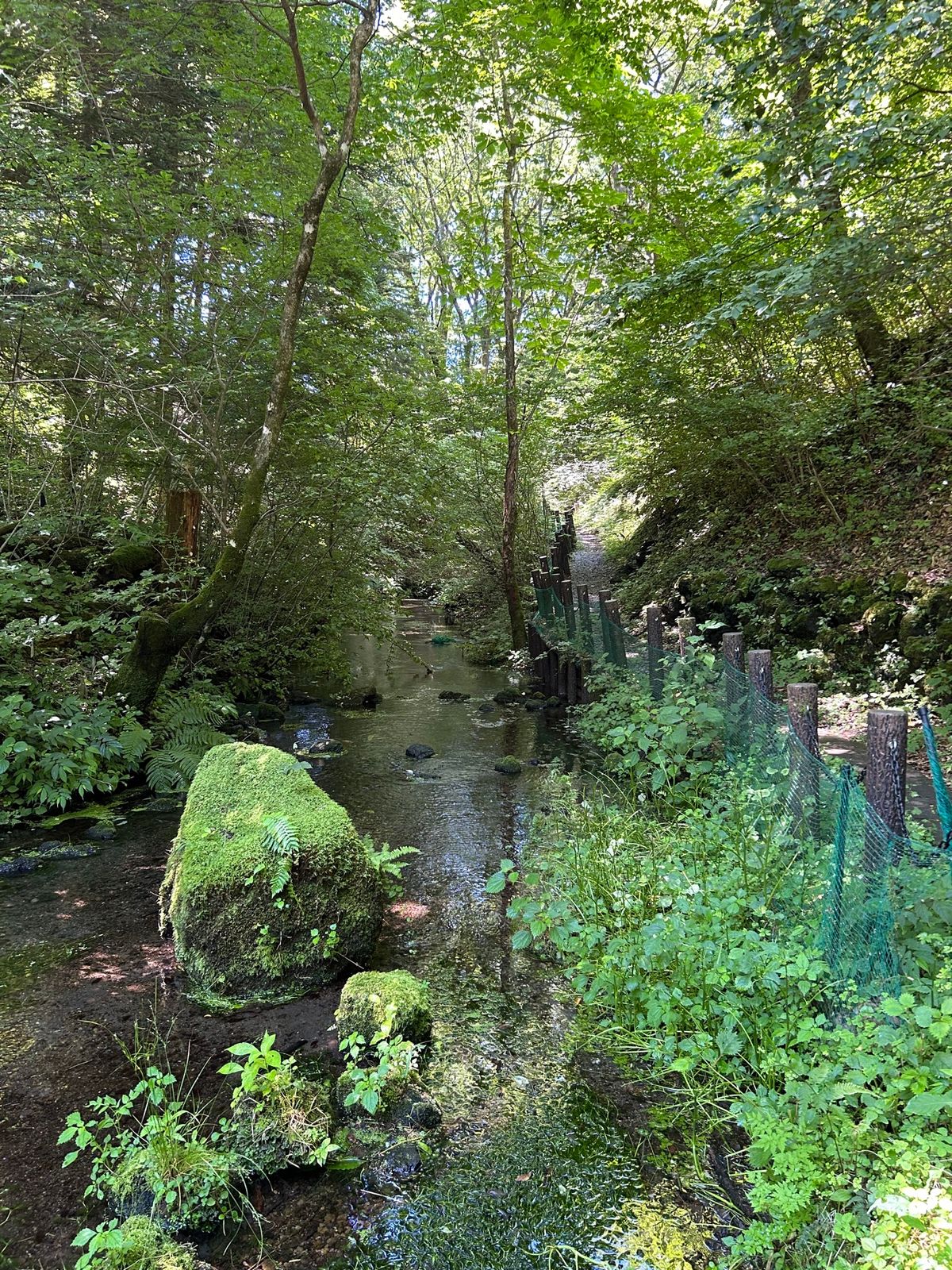 まず初め発地市庭のお蕎麦から😊
随分前に行ったタリアセン…前は無料だったような…