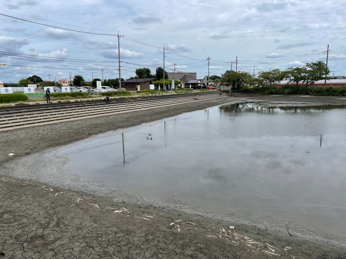 バスを降りると長閑な田園風景が。稲刈りの終わった田んぼにはサギが餌取りに来...