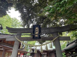 午後はバスで市内に戻って観光。まずは川越氷川神社を参拝しました。
大鳥居の...