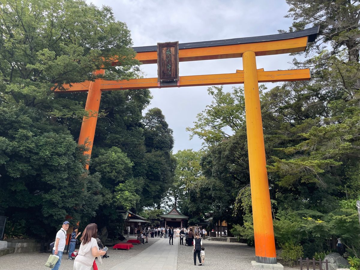 午後はバスで市内に戻って観光。まずは川越氷川神社を参拝しました。
大鳥居の...