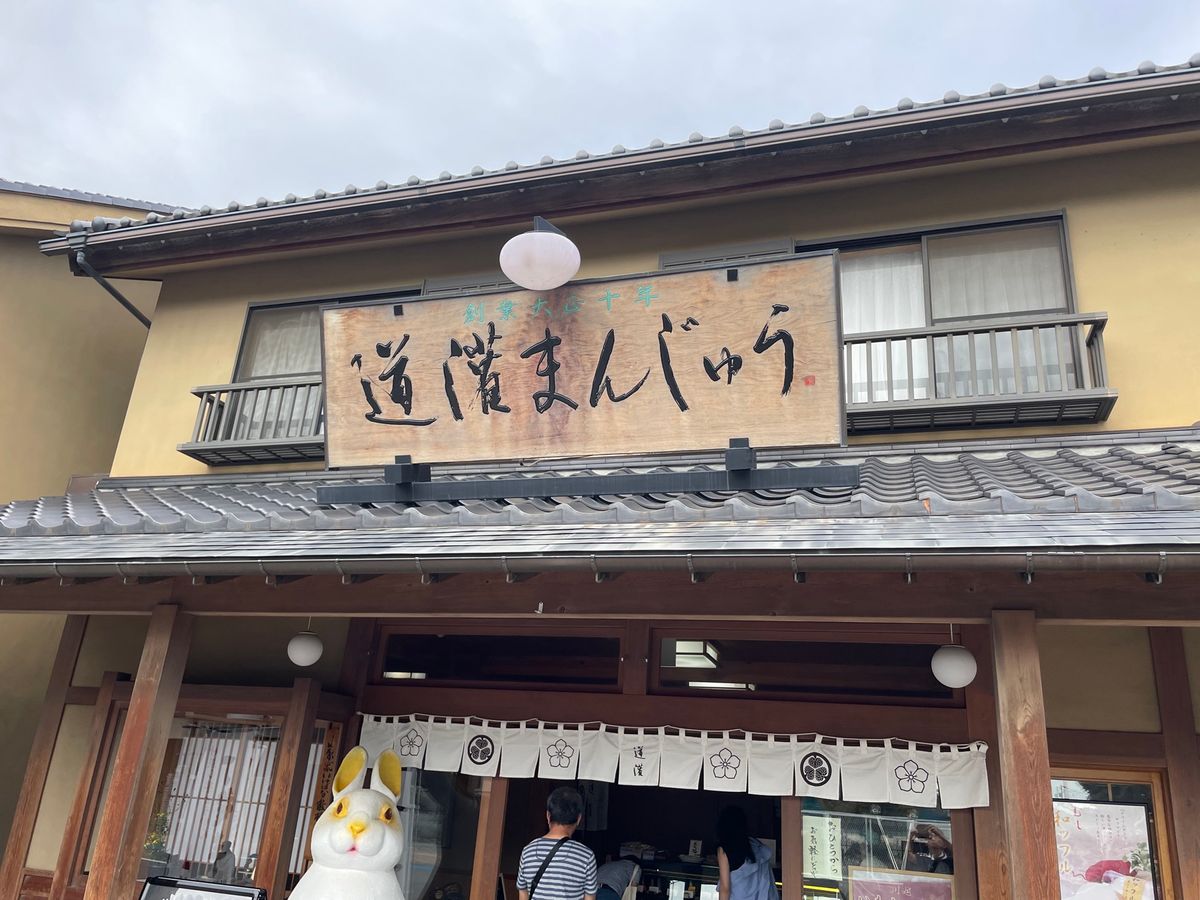 氷川神社から川越城本丸御殿へ向かう途中に一休み。老舗の和菓子屋さんでアイス...