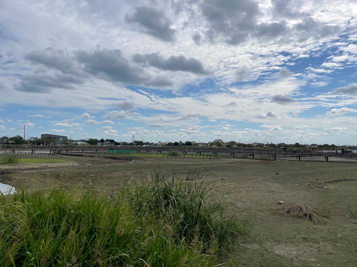 バスを降りると長閑な田園風景が。稲刈りの終わった田んぼにはサギが餌取りに来...