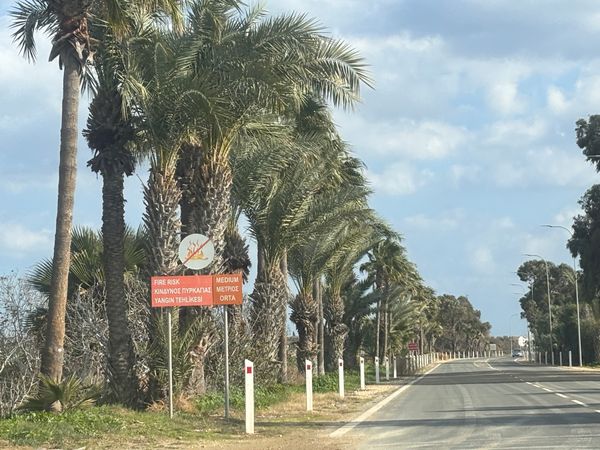 キプロス・ニコシア「キプロス 旅行」の写真