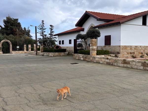 キプロス・ニコシア「キプロス 旅行」の写真