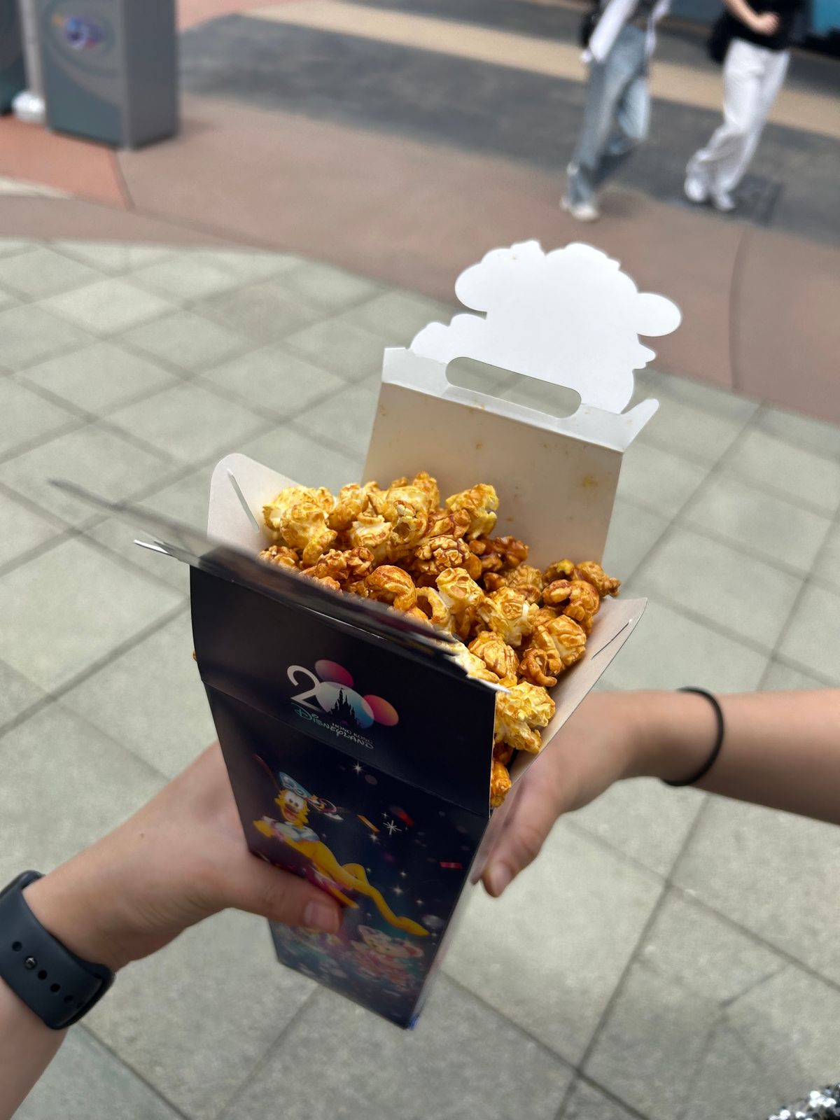 お目当ての香港ディズニー✨

まさかのシグナル8発令で強制退場させらて半日...