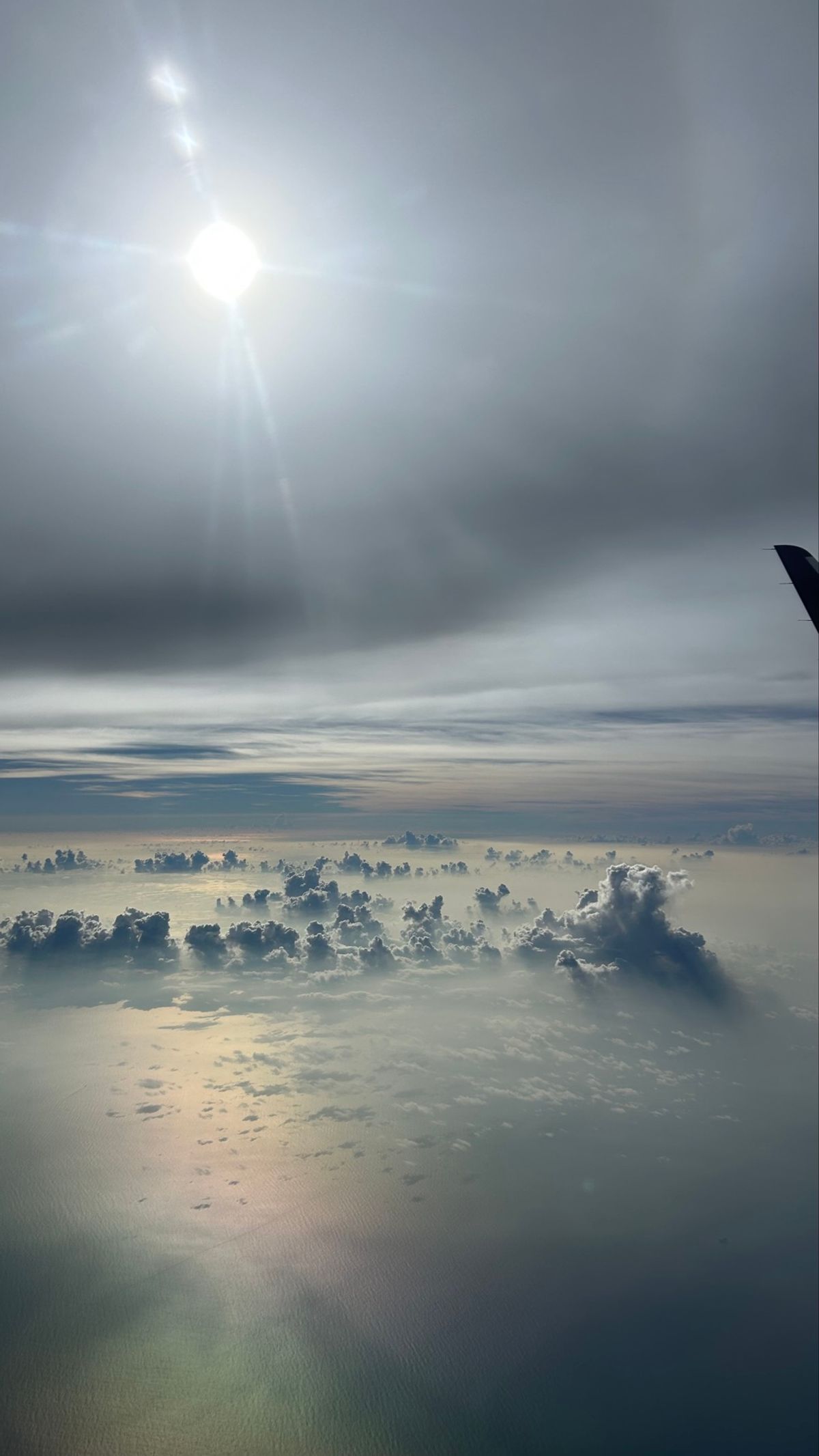 台風直撃の香港の様子

空港にやっとこれた私たち

帰りに飛行機から見た絶...