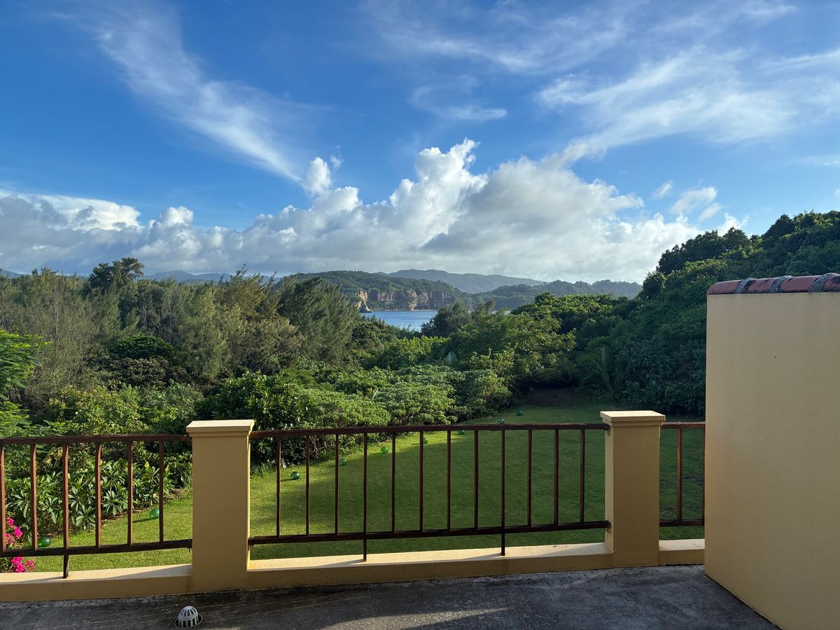 ホテルからの景色と由布島