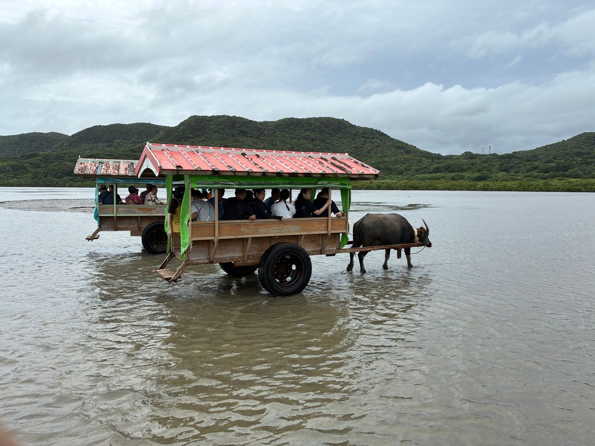 ホテルからの景色と由布島