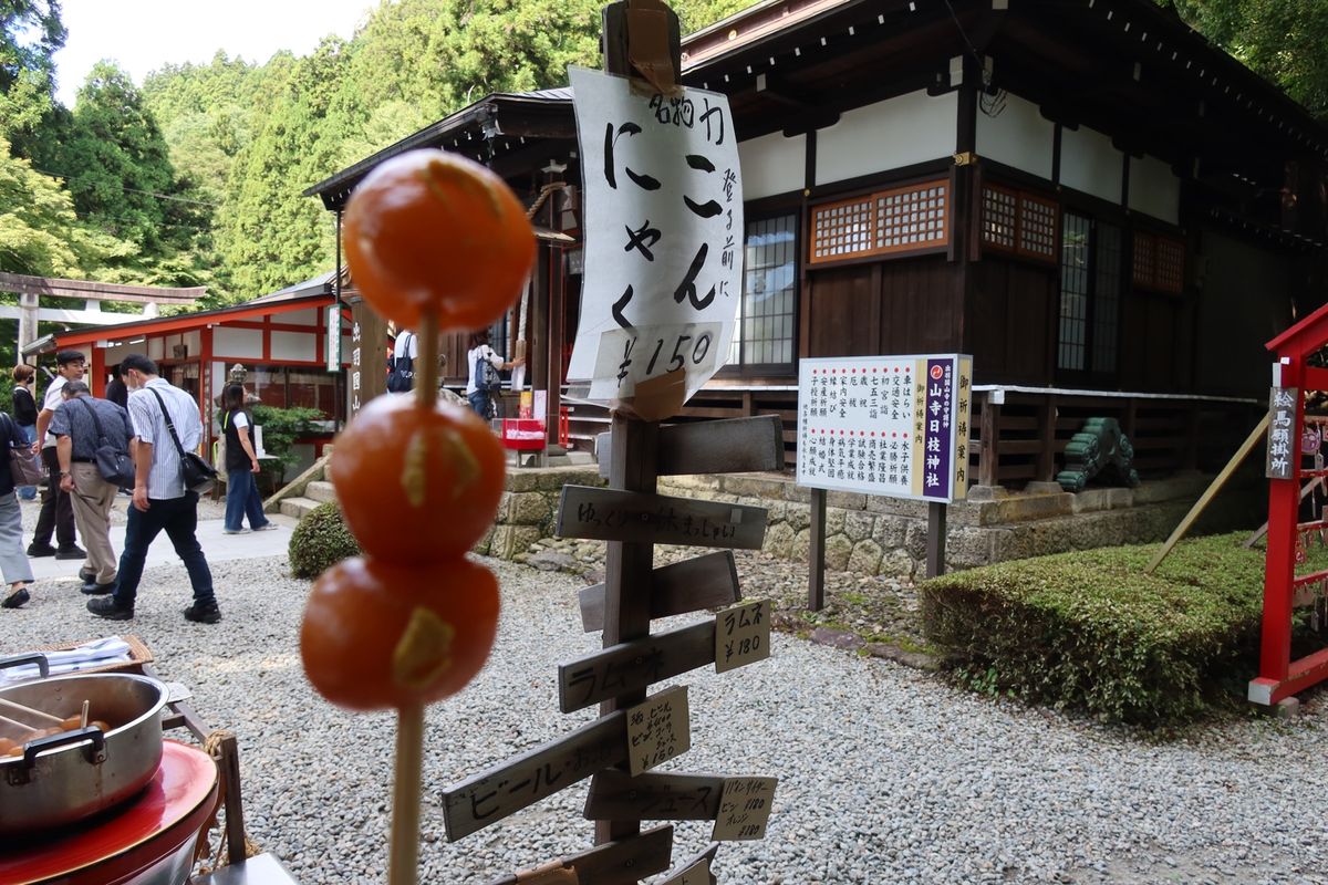 続いて立石寺。
ここへ来るのは2回目。
1000を超える石段を登り、五大堂...