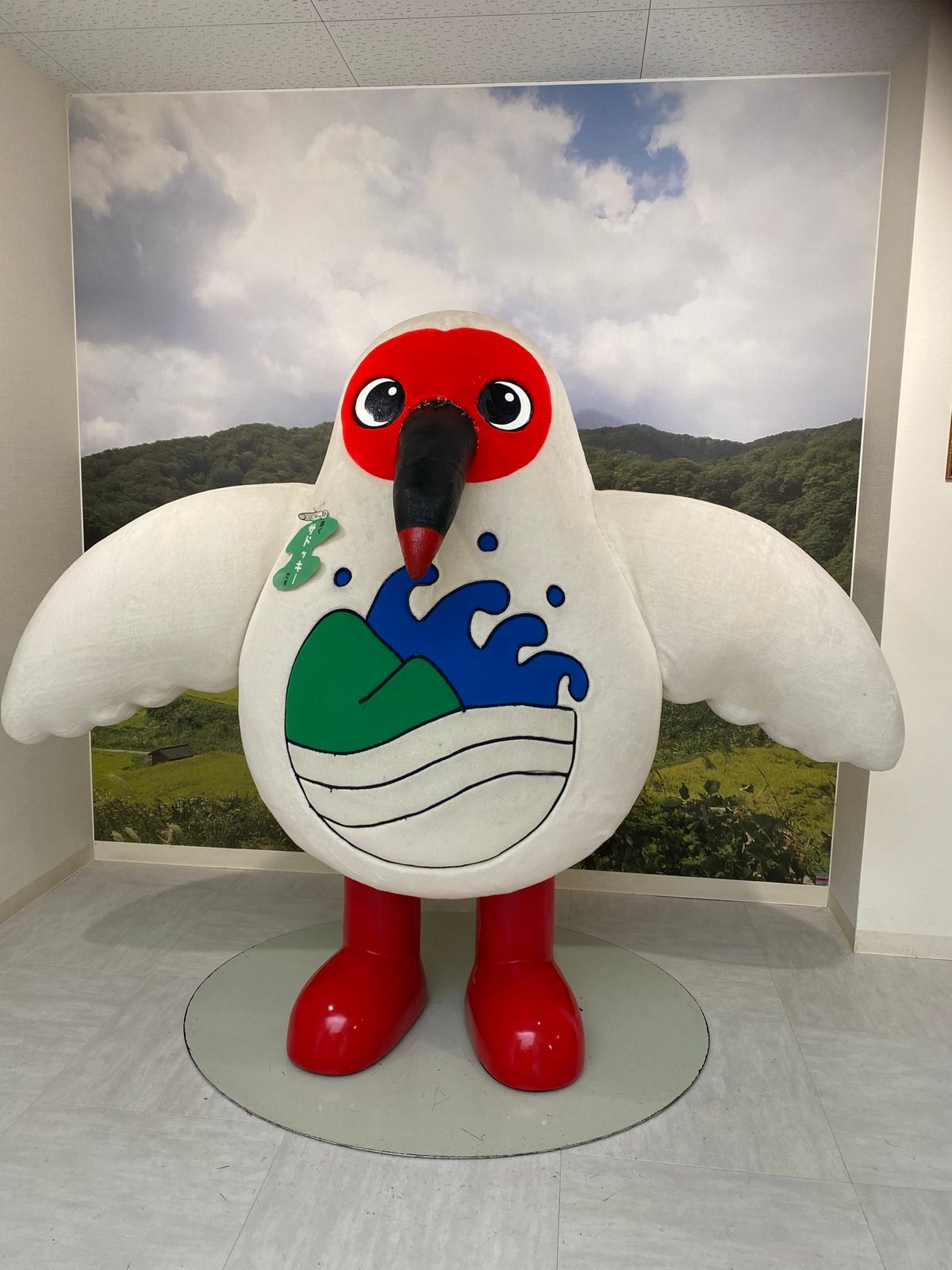 午後からはトキの森公園へ。
この日から佐渡で白い鳥を見ると全てトキに見える...