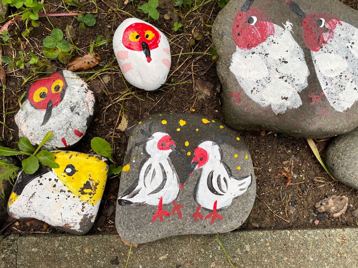 午後からはトキの森公園へ。
この日から佐渡で白い鳥を見ると全てトキに見える...