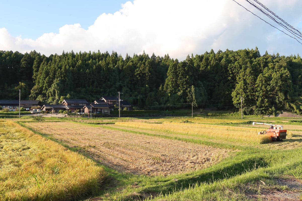 佐渡金山見学のあとは、佐渡のラピュタと言われる北沢浮遊選鉱場跡を見学。
そ...