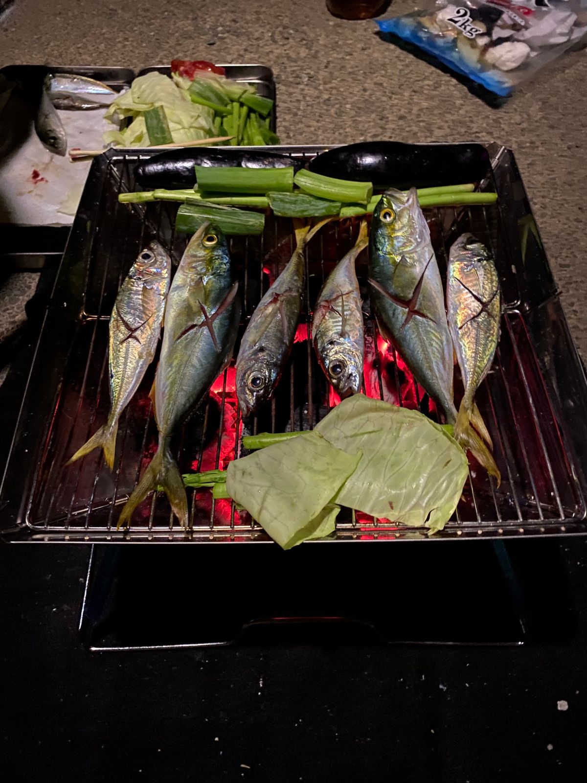 夕方港に寄ると、地元の人がどうやったら釣れるかを教えてくれた。
あじの群れ...