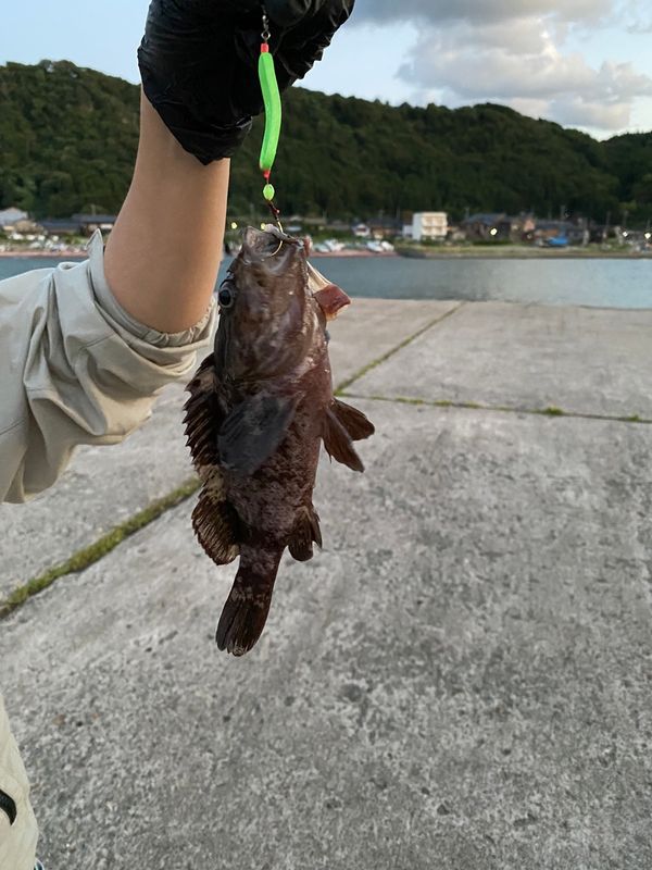 日本・青森県「佐渡島旅行⛴️」の写真：1日目は入崎キャンプ場で車中泊。
とりあ...