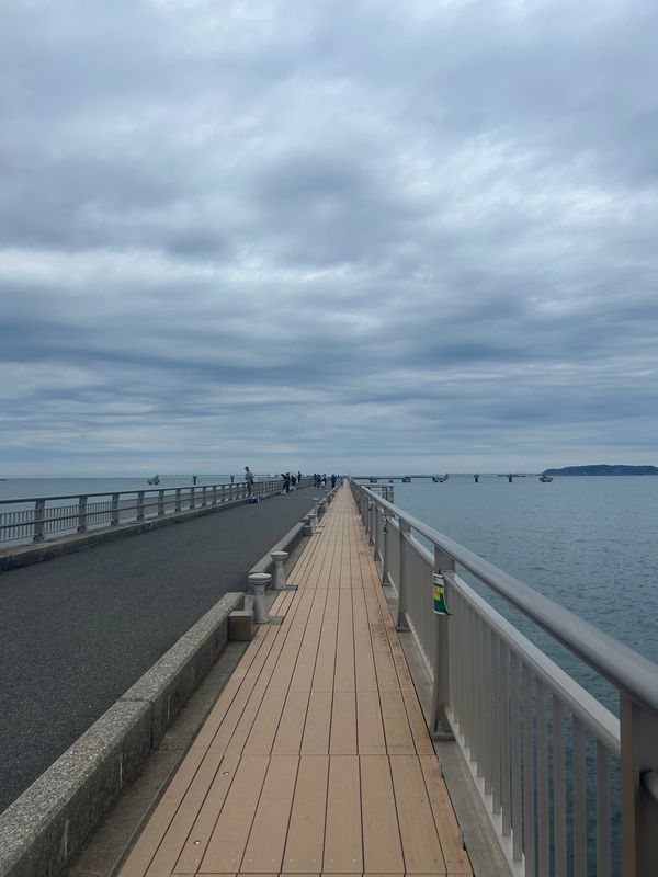 日本・千葉県「千葉県南房総」の写真