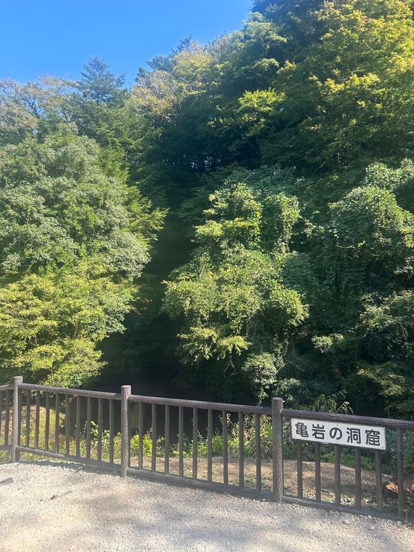 日本・千葉県「千葉県南房総」の写真