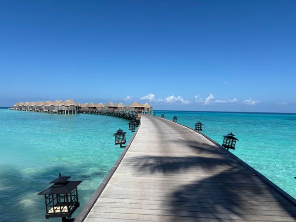 モルディブ・アリ環礁「モルディブ旅行🇲🇻」の写真