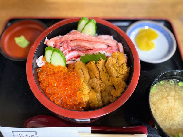 日本・鳥取県「Tottori」の写真：和泉