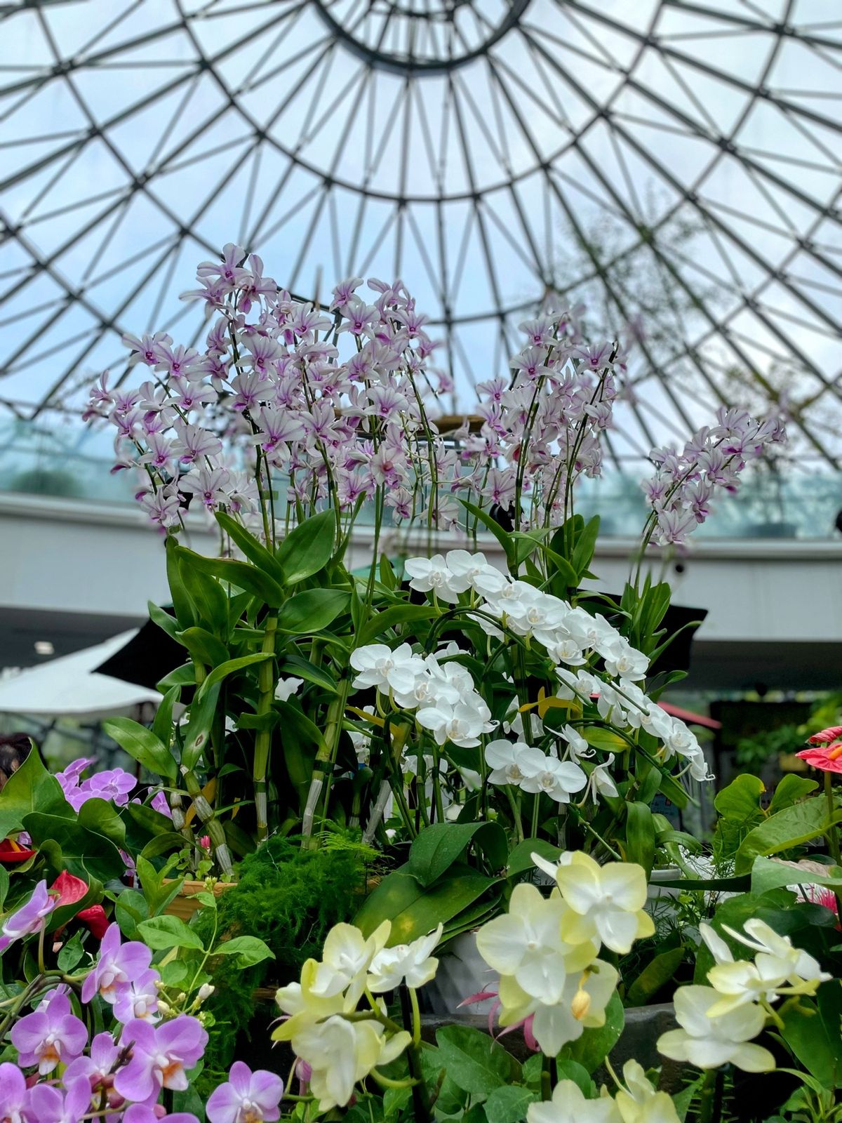 とっとり花回路