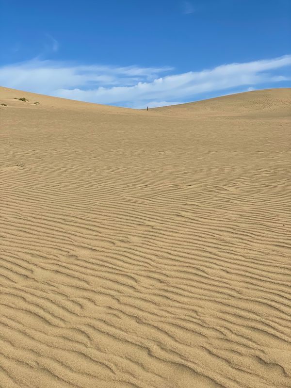 日本・鳥取県「Tottori」の写真：鳥取砂丘