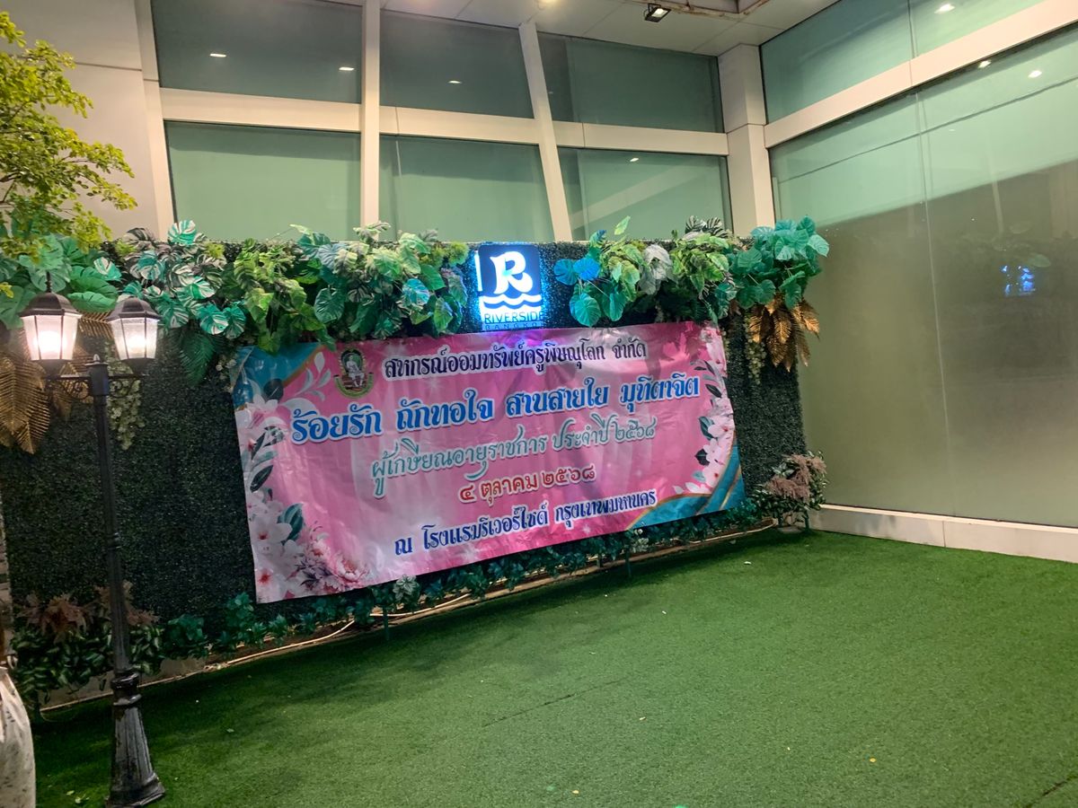 水上クルージング