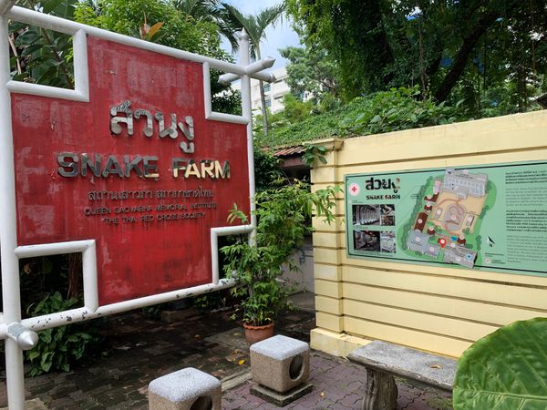 タイ・バンコク「タイ散策」の写真：スネークミュージアム