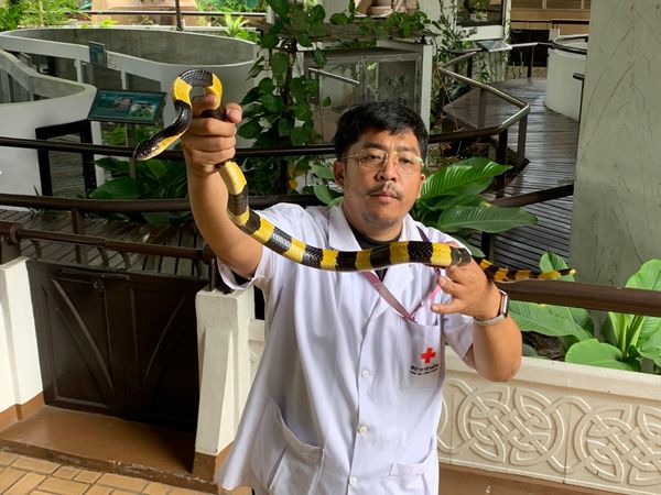 タイ・バンコク「タイ散策」の写真