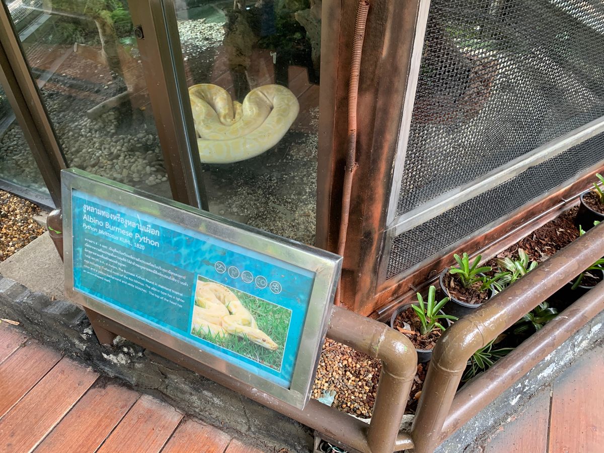 スネークミュージアム