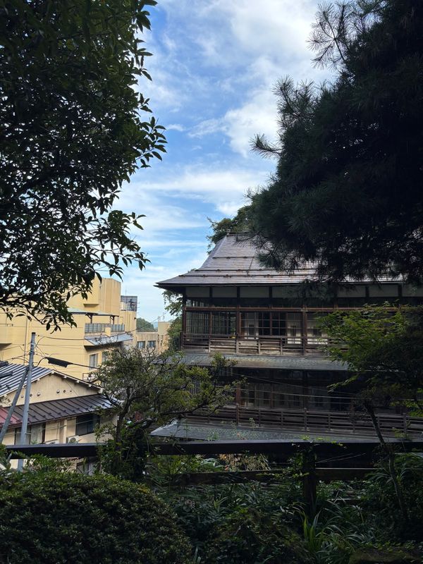 日本・宮城県「宮城」の写真：湯主一條さんへ宿泊♨️