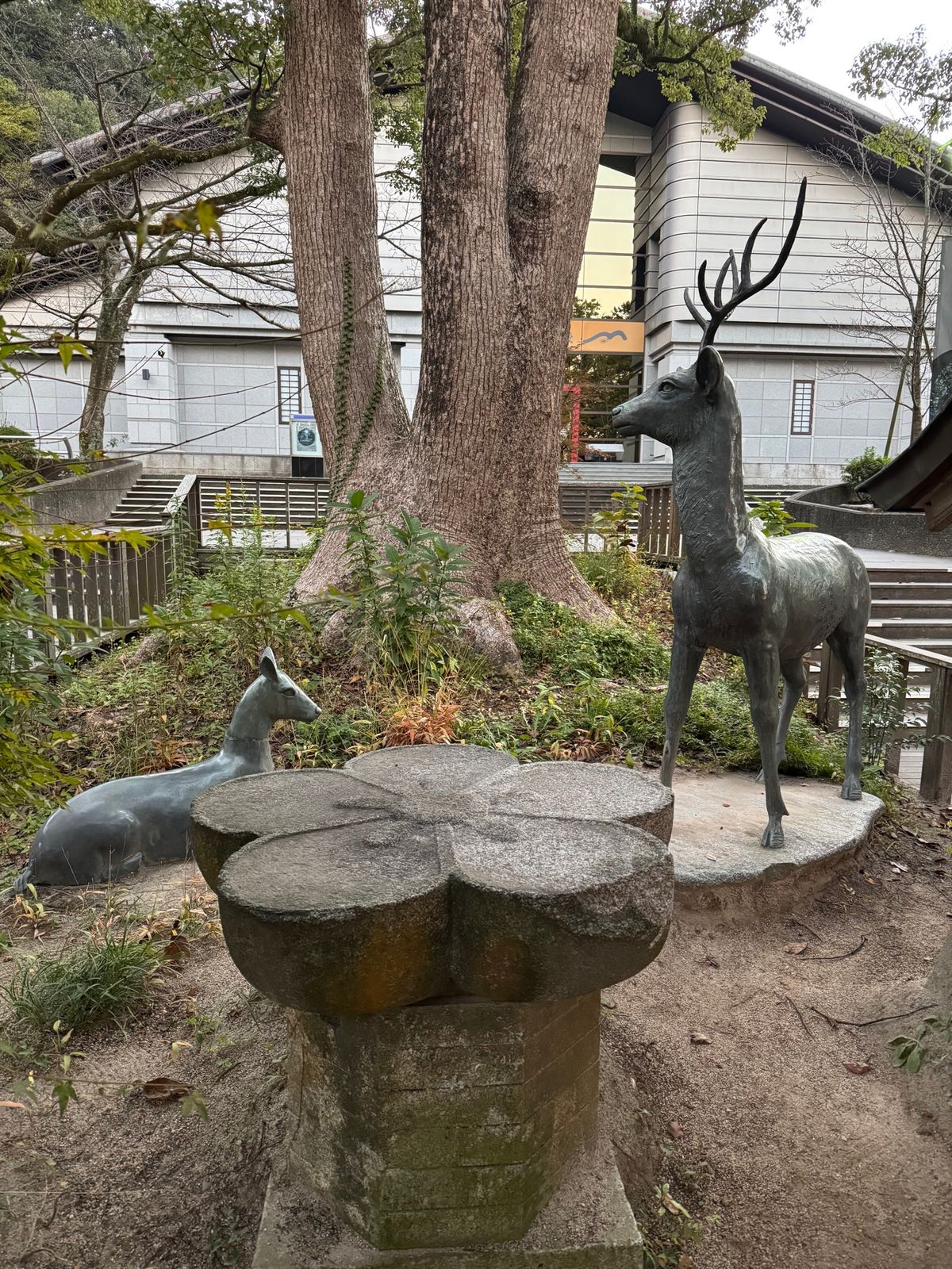 太宰府市
●太宰府天満宮

昨日人の多さに圧倒されたので、再度早朝に参拝。...