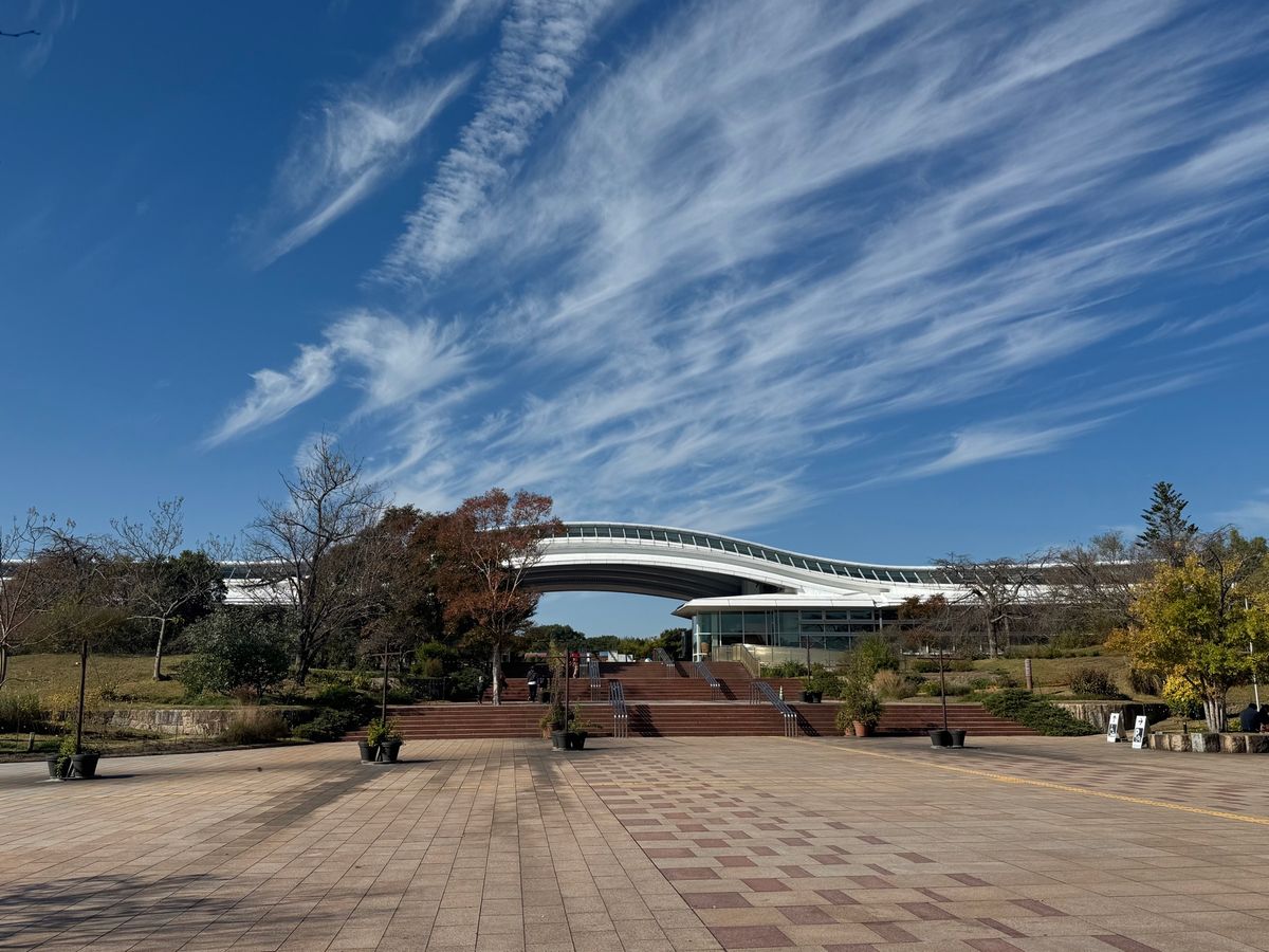 佐賀県
●吉野ヶ里遺跡

弥生時代の世界観に溢れていて、1日いても飽きない...