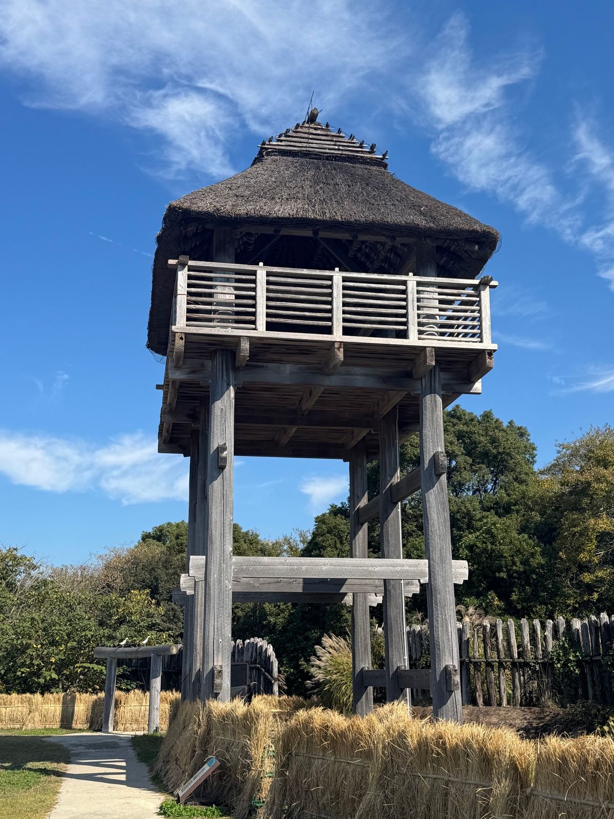 佐賀県
●吉野ヶ里遺跡

弥生時代の世界観に溢れていて、1日いても飽きない...