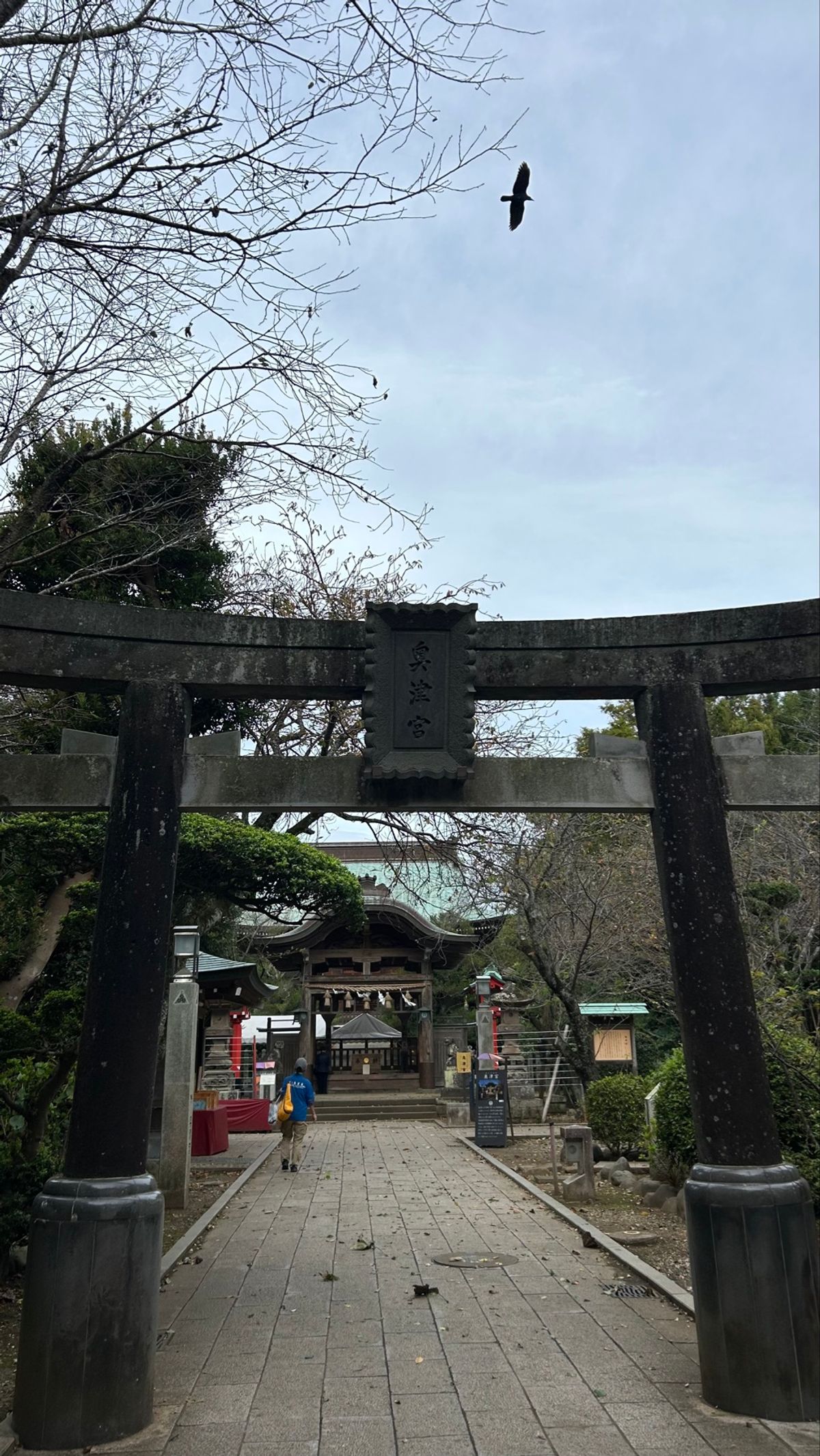 江ノ島駅からおりて徒歩で江ノ島ぐるっと。
まずは神社から⛩
金運、恋愛運、...