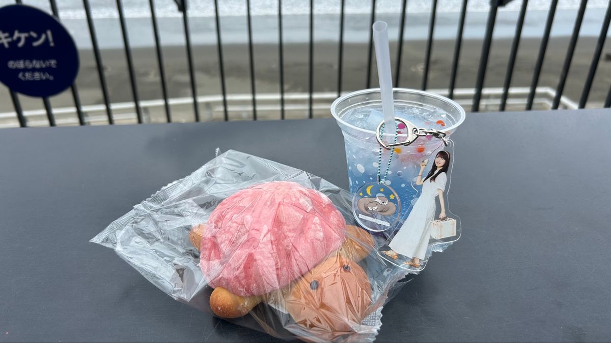 そして長距離の散歩を終え、新江ノ島水族館へ✨
クラゲゾーンが印象的すぎた！...