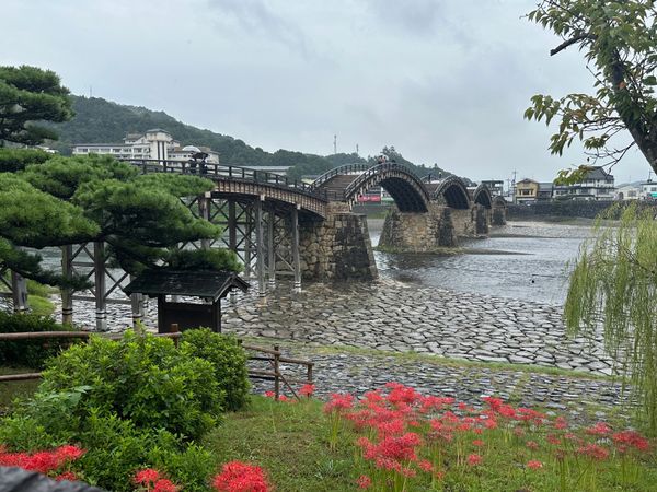 日本・宮島「広島・岩国・新潟　2025.10」の写真