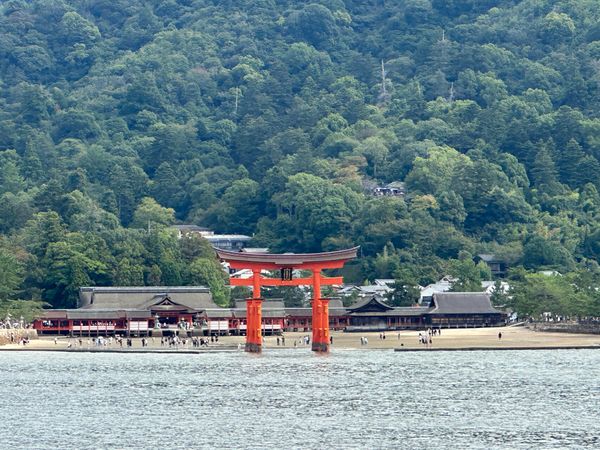 日本・宮島「広島・岩国・新潟　2025.10」の写真