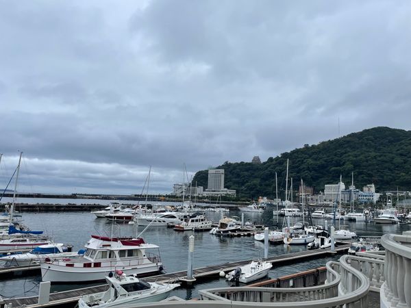 日本・伊豆「2025年・伊豆修善寺温泉」の写真：熱海の海岸