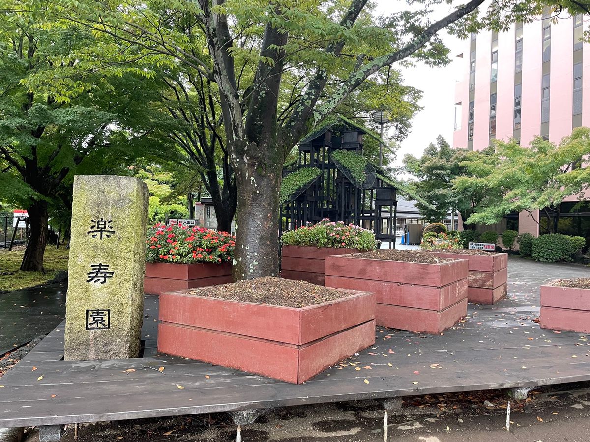 三島駅近くにある楽寿園も見学してきました。