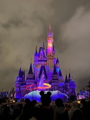 Reach For The Stars