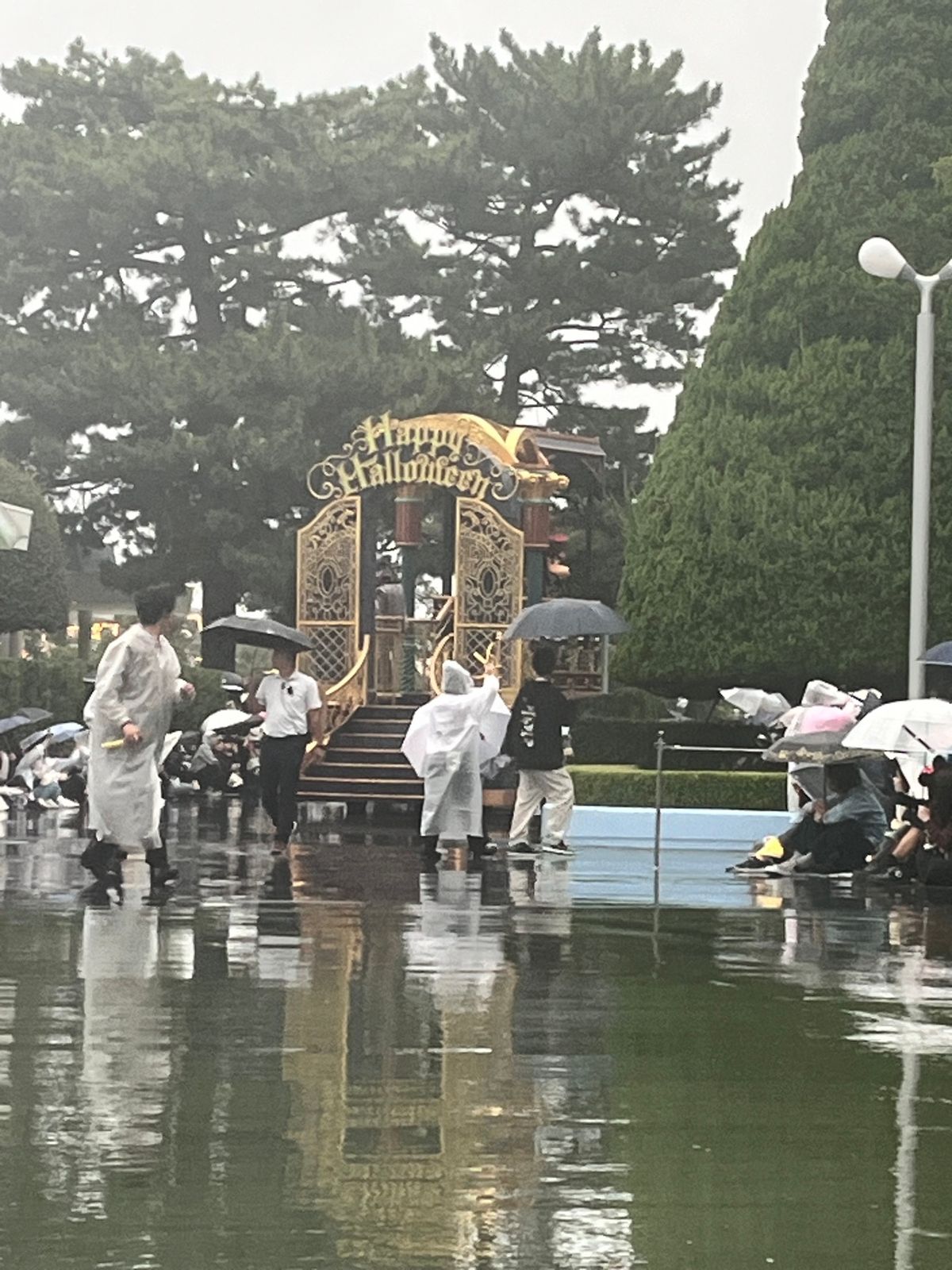 雨の日 グリーティング In to the Frenzy