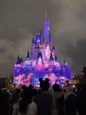 Reach For The Stars