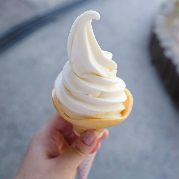 日本・広島「広島」の写真