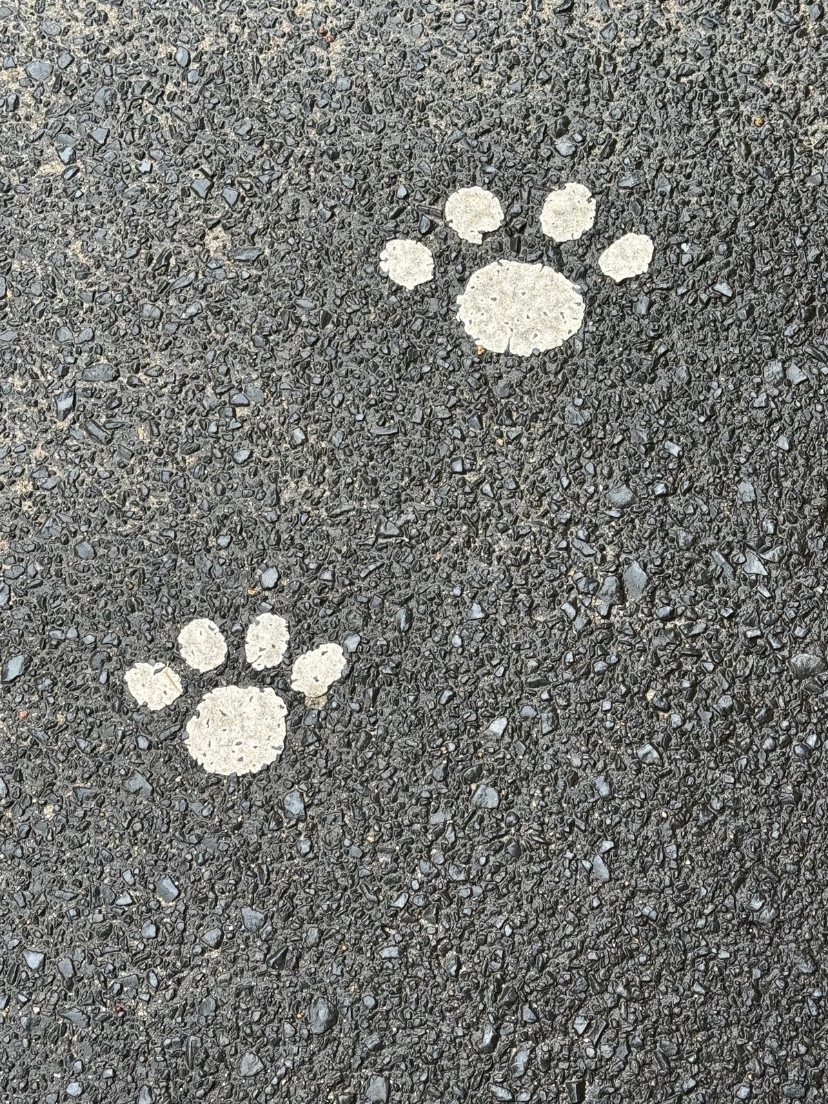 佐賀県　高島
●宝当神社
●猫の足跡をたどると、宝当神社に行ける
●宝当神...