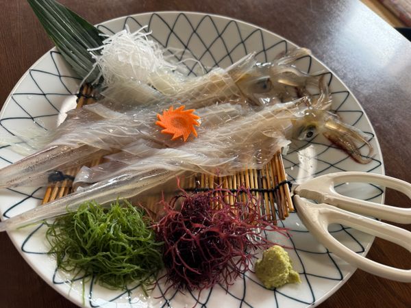 日本・佐賀県「佐賀県　呼子のイカと焼き物の旅」の写真：佐賀県　唐津市
イカの活き造り大和
●イ...